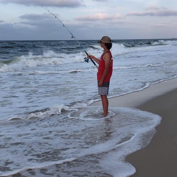 Meet your Posher, Aiden - Picture 1 of 1